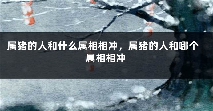 属猪的人和什么属相相冲，属猪的人和哪个属相相冲