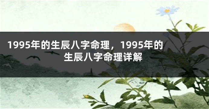 1995年的生辰八字命理，1995年的生辰八字命理详解