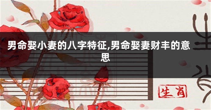 男命娶小妻的八字特征,男命娶妻财丰的意思