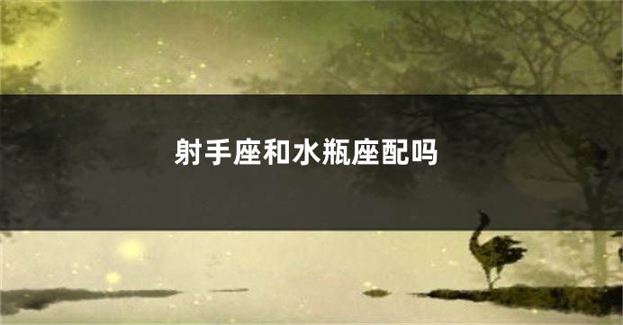 射手座和水瓶座配吗