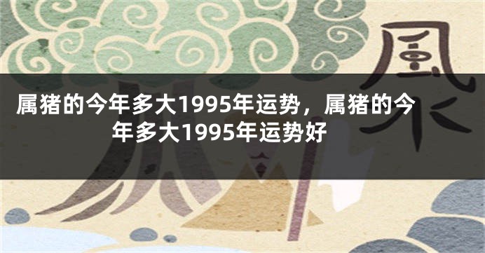 属猪的今年多大1995年运势，属猪的今年多大1995年运势好