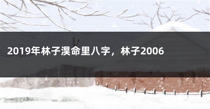 2019年林子淏命里八字,林子2006