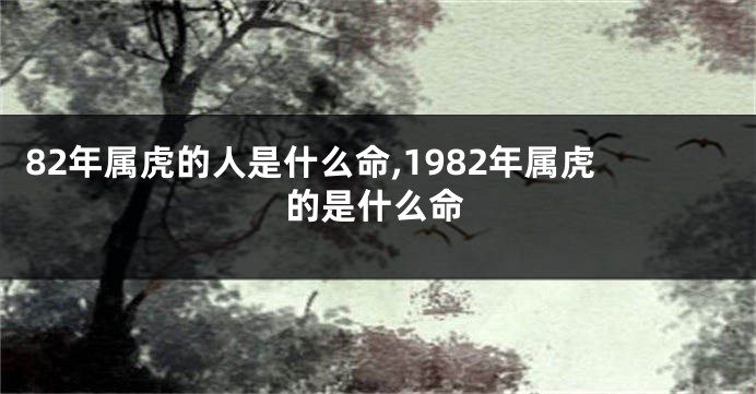 82年属虎的人是什么命,1982年属虎的是什么命