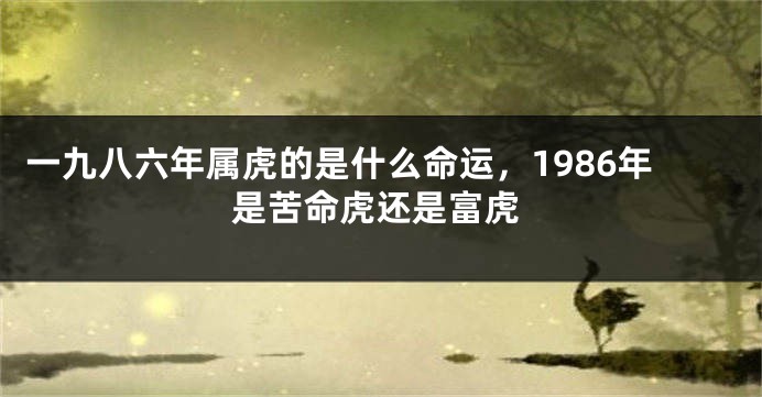 一九八六年属虎的是什么命运，1986年是苦命虎还是富虎