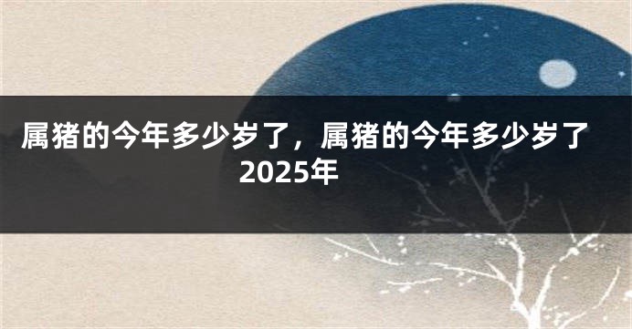 属猪的今年多少岁了，属猪的今年多少岁了2025年