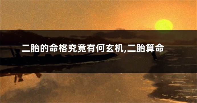 二胎的命格究竟有何玄机,二胎算命