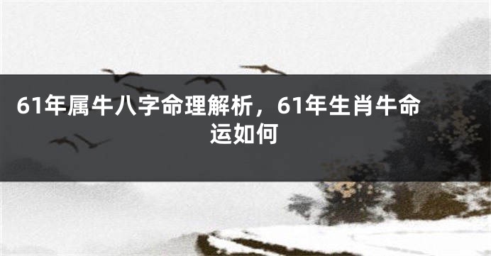 61年属牛八字命理解析,61年生肖牛命运如何