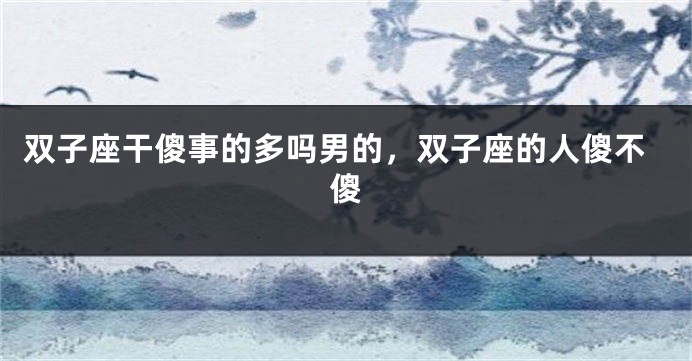 双子座干傻事的多吗男的，双子座的人傻不傻
