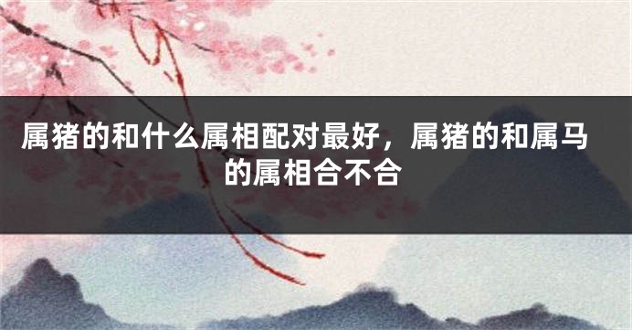 属猪的和什么属相配对最好,属猪的和属马的属相合不合