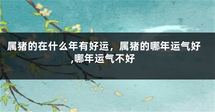 属猪的在什么年有好运，属猪的哪年运气好,哪年运气不好
