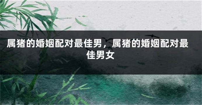 属猪的婚姻配对最佳男，属猪的婚姻配对最佳男女
