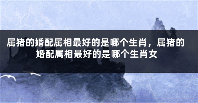 属猪的婚配属相最好的是哪个生肖，属猪的婚配属相最好的是哪个生肖女