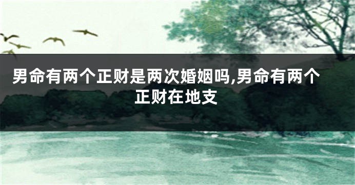 男命有两个正财是两次婚姻吗,男命有两个正财在地支