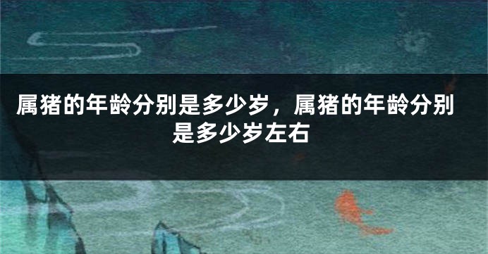属猪的年龄分别是多少岁，属猪的年龄分别是多少岁左右