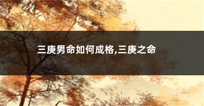 三庚男命如何成格,三庚之命