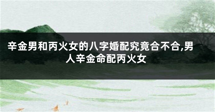 辛金男和丙火女的八字婚配究竟合不合,男人辛金命配丙火女