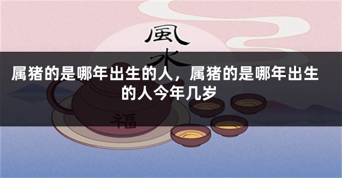 属猪的是哪年出生的人，属猪的是哪年出生的人今年几岁