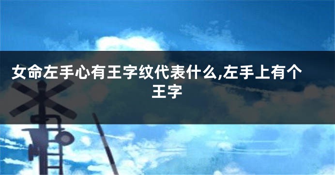 女命左手心有王字纹代表什么,左手上有个王字