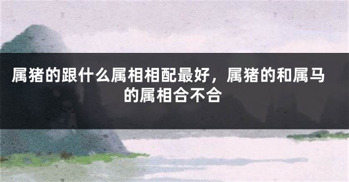 属猪的跟什么属相相配最好，属猪的和属马的属相合不合