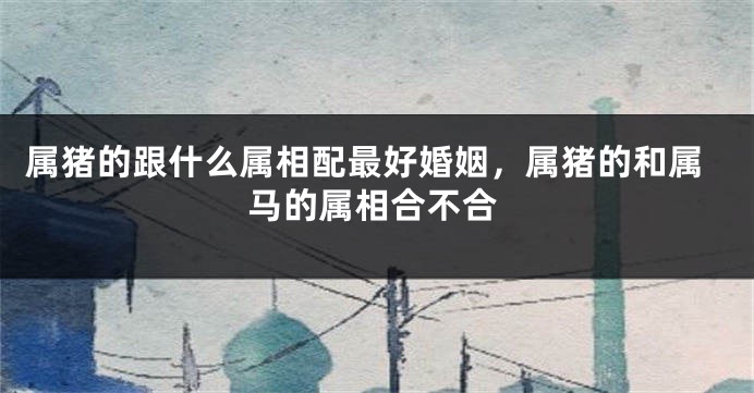 属猪的跟什么属相配最好婚姻，属猪的和属马的属相合不合