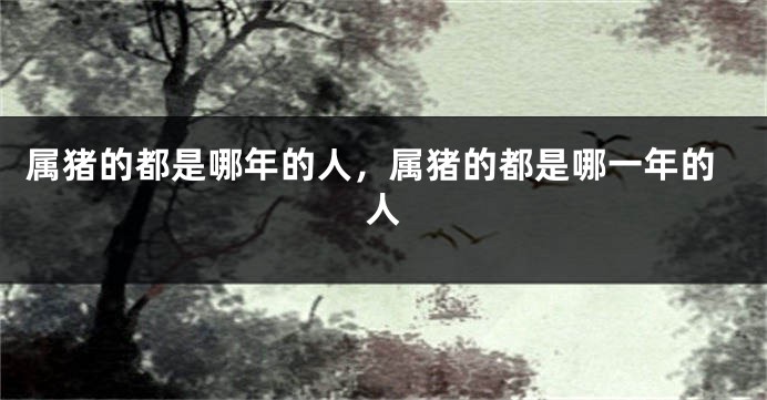 属猪的都是哪年的人,属猪的都是哪一年的人