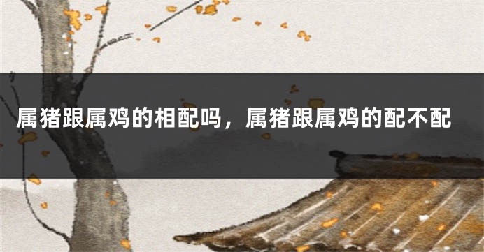属猪跟属鸡的相配吗,属猪跟属鸡的配不配