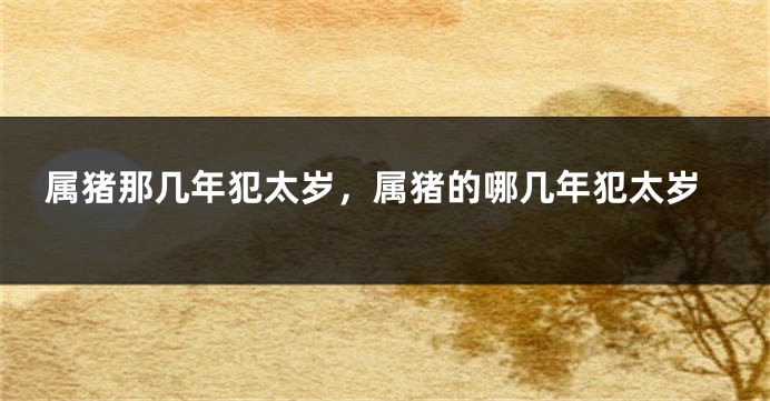 属猪那几年犯太岁，属猪的哪几年犯太岁