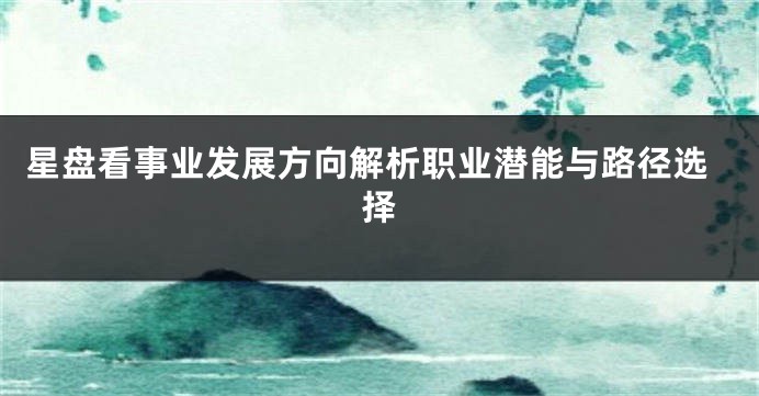 星盘看事业发展方向解析职业潜能与路径选择