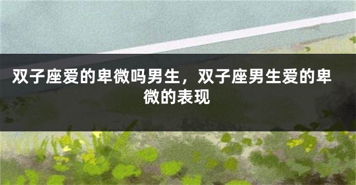 双子座爱的卑微吗男生，双子座男生爱的卑微的表现