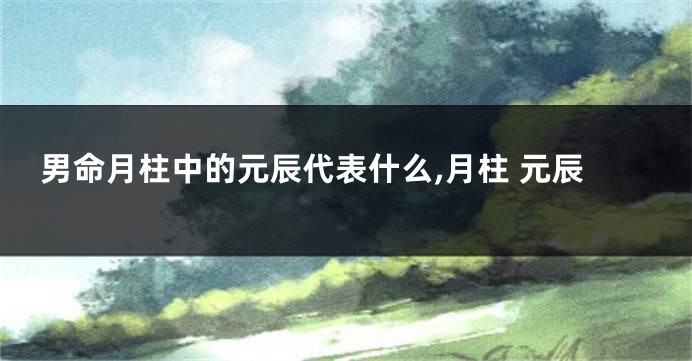 男命月柱中的元辰代表什么,月柱 元辰