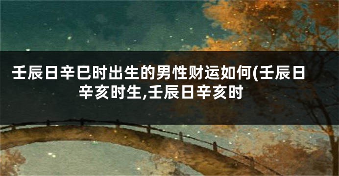 壬辰日辛巳时出生的男性财运如何(壬辰日辛亥时生,壬辰日辛亥时