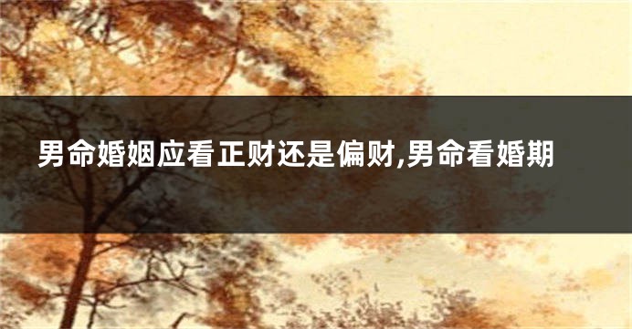 男命婚姻应看正财还是偏财,男命看婚期