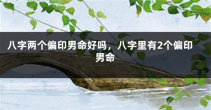 八字两个偏印男命好吗,八字里有2个偏印男命