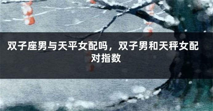双子座男与天平女配吗，双子男和天秤女配对指数