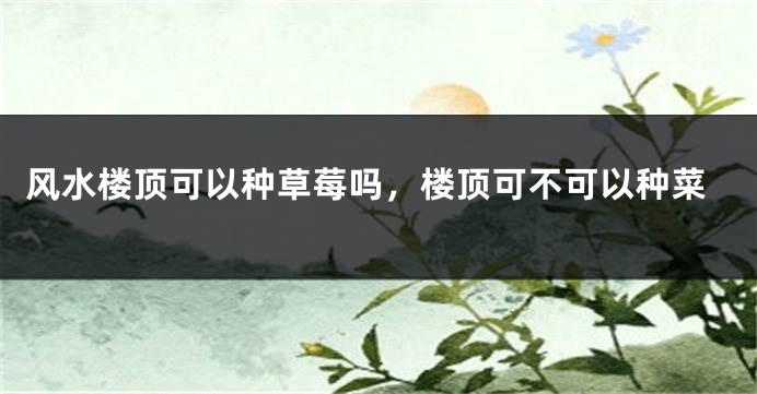 风水楼顶可以种草莓吗，楼顶可不可以种菜