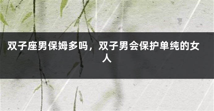 双子座男保姆多吗，双子男会保护单纯的女人