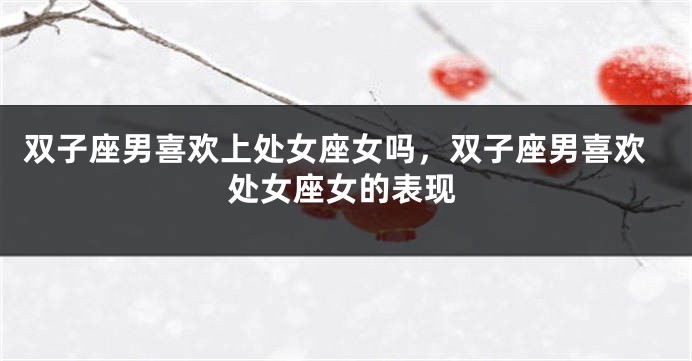 双子座男喜欢上处女座女吗，双子座男喜欢处女座女的表现