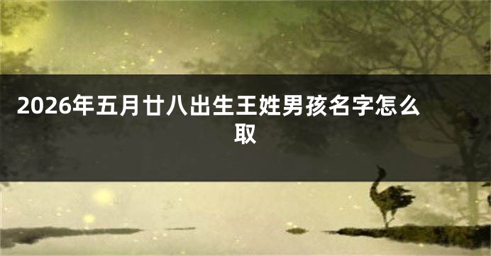 2026年五月廿八出生王姓男孩名字怎么取