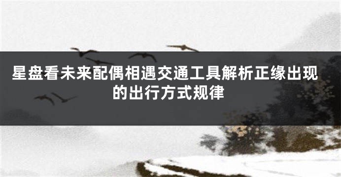 星盘看未来配偶相遇交通工具解析正缘出现的出行方式规律