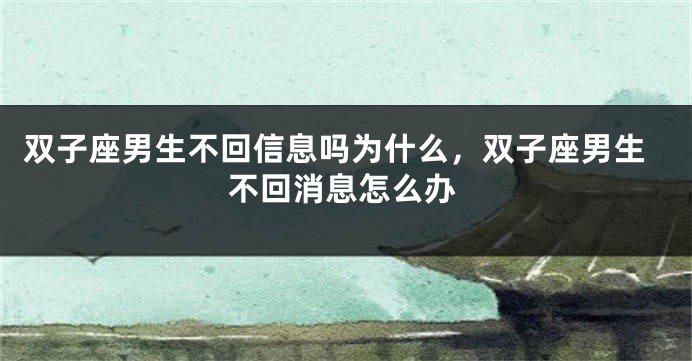 双子座男生不回信息吗为什么，双子座男生不回消息怎么办
