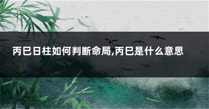 丙巳日柱如何判断命局,丙巳是什么意思