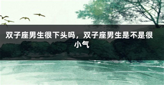双子座男生很下头吗，双子座男生是不是很小气