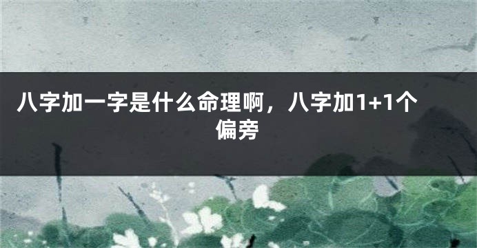 八字加一字是什么命理啊,八字加1+1个偏旁