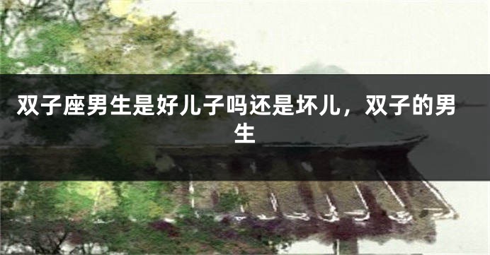 双子座男生是好儿子吗还是坏儿，双子的男生