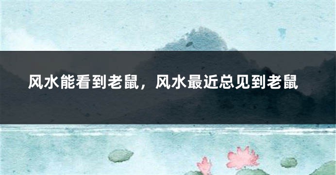 风水能看到老鼠，风水最近总见到老鼠