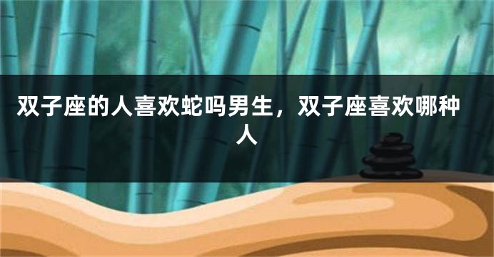 双子座的人喜欢蛇吗男生,双子座喜欢哪种人