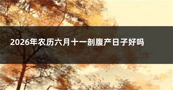 2026年农历六月十一剖腹产日子好吗