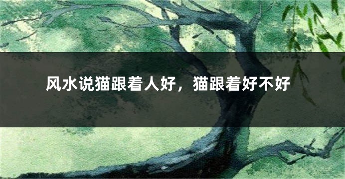 风水说猫跟着人好，猫跟着好不好