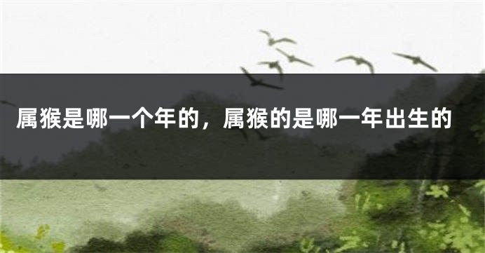 属猴是哪一个年的,属猴的是哪一年出生的