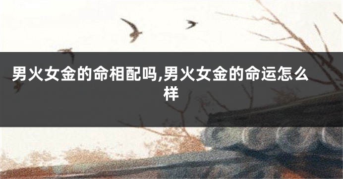 男火女金的命相配吗,男火女金的命运怎么样